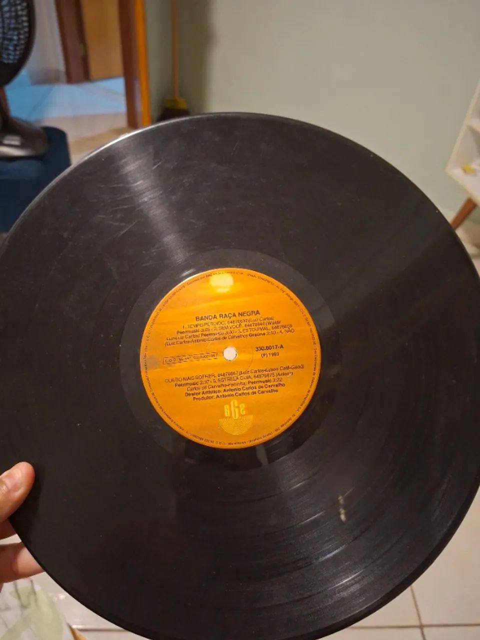 Disco de Vinil Amado Batista + Raça Negra
