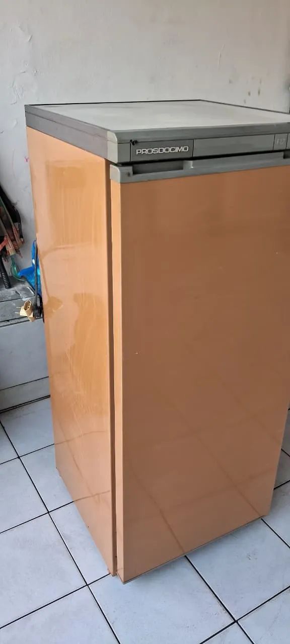 FREEZER VERTICAL PROSDOCIMO 127V ENTREGO