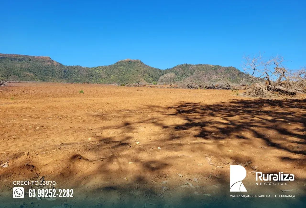Fazenda a venda em Brejinho de Nazaré | Argilosa | Curral para 1.000 cabeças - Foto 6