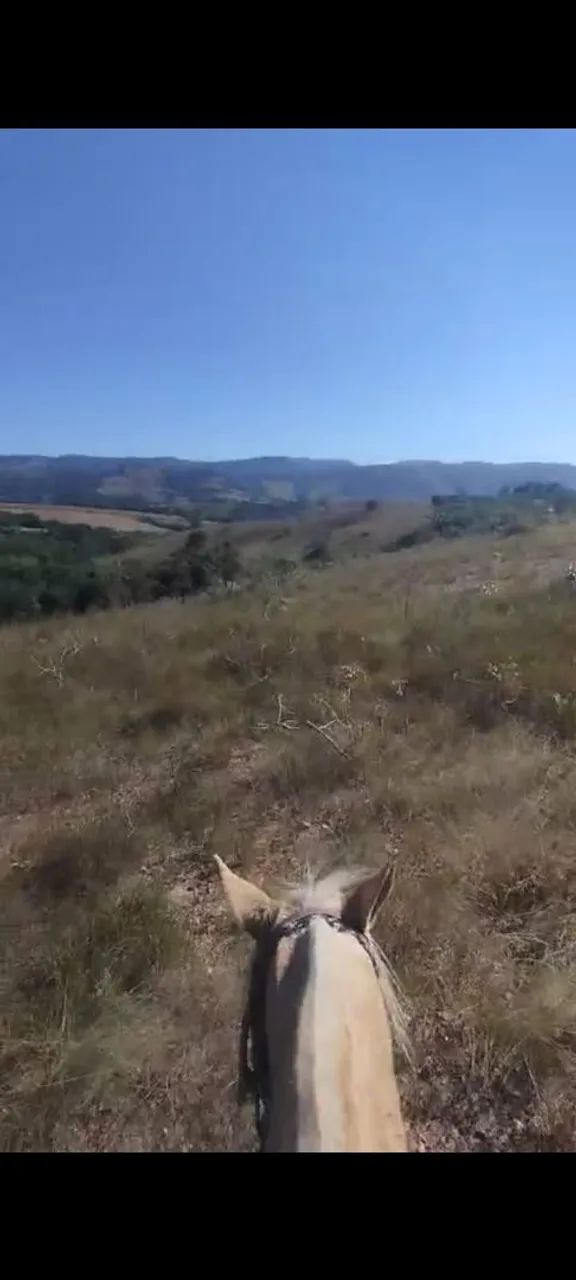 Vendo terra em São Thomé das Letras - Foto 3