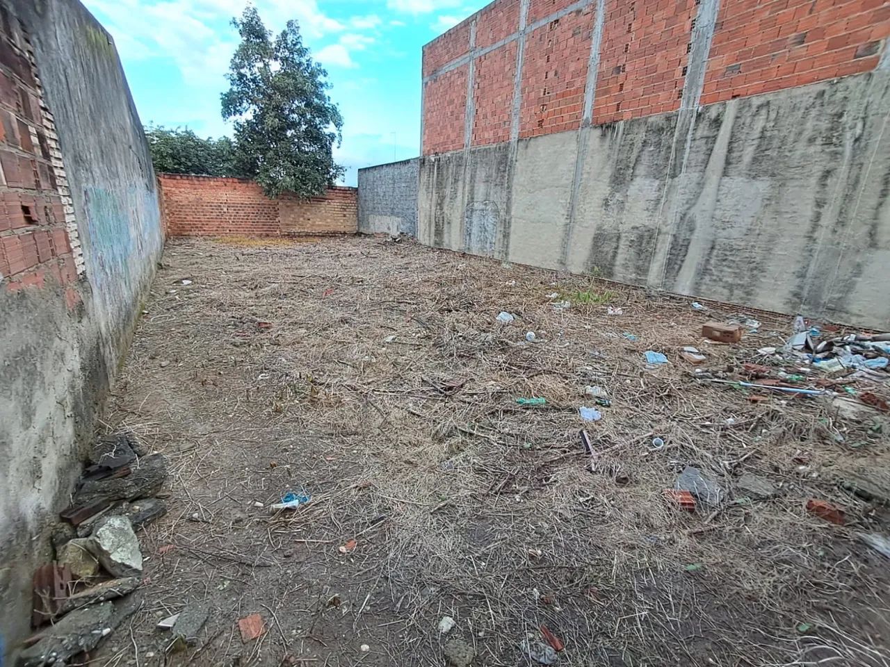 Vendo Terreno na Colônia Treze - Foto 4