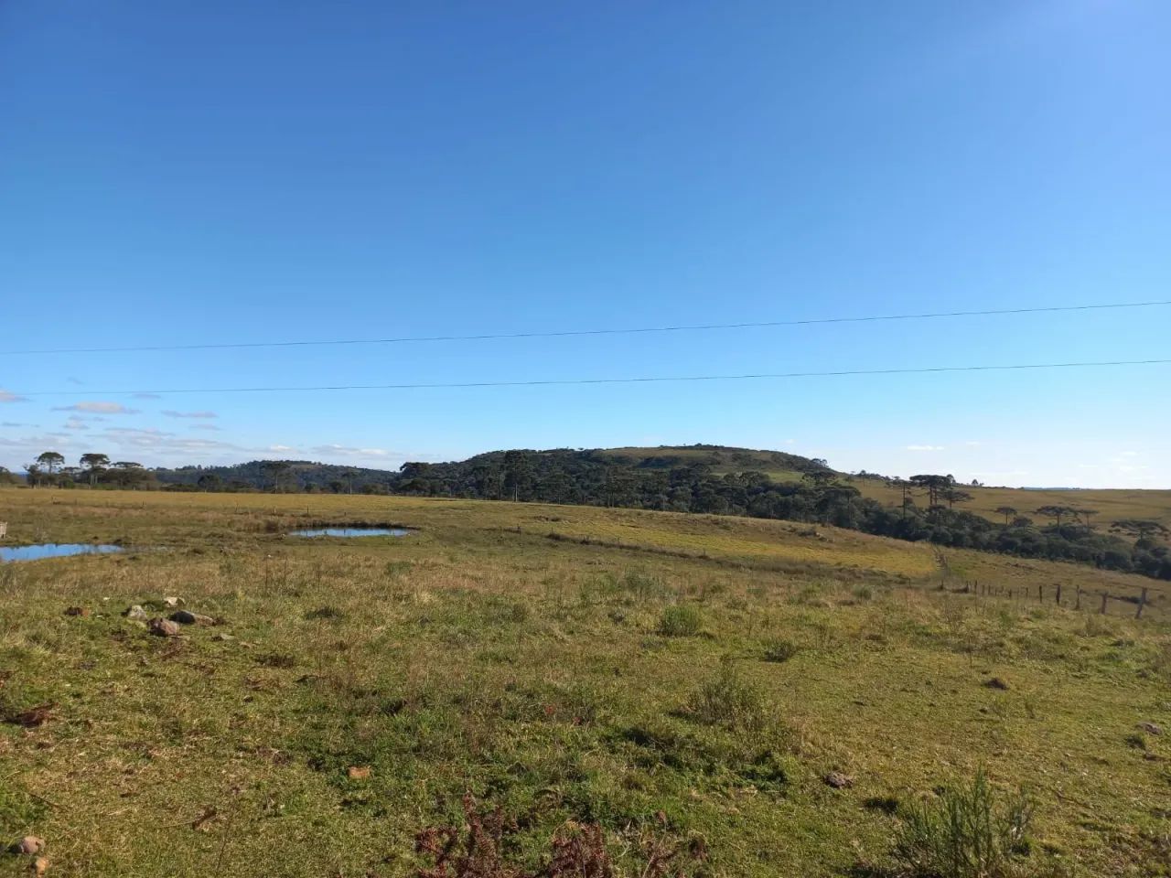 sitio a venda em Urupema - Foto 4