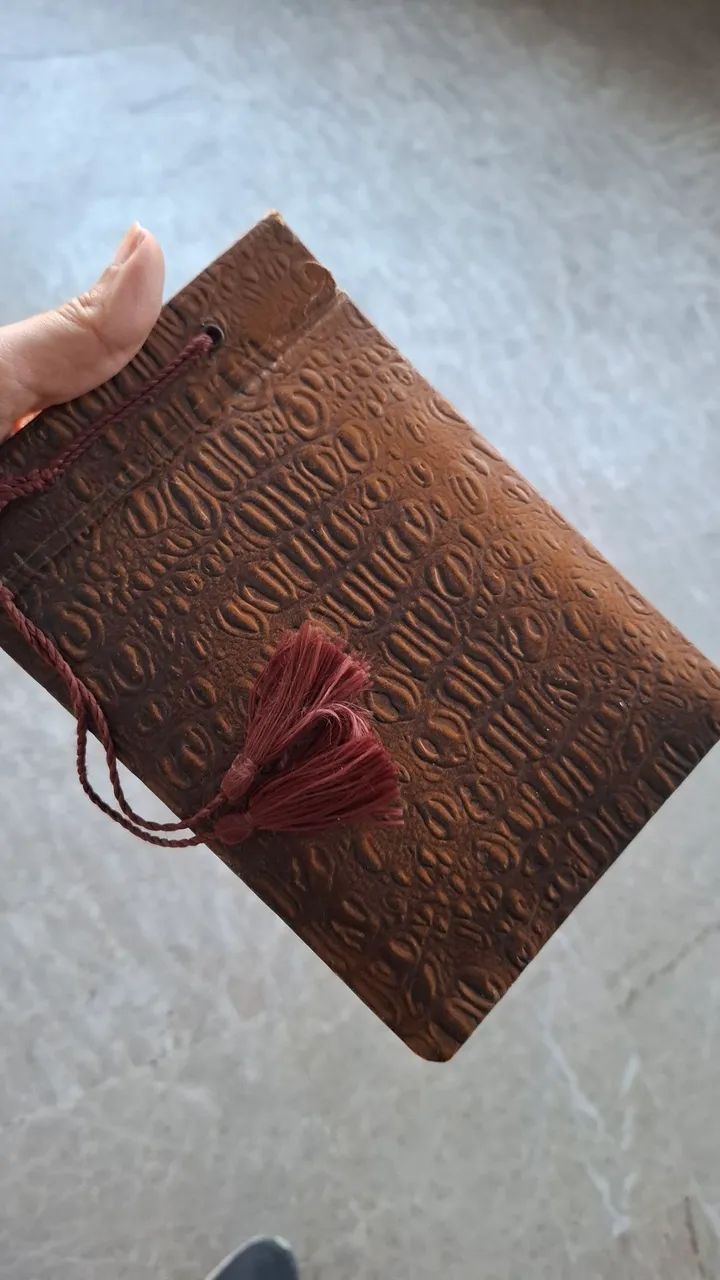Album antigo com capa de couro estilo crccodilo