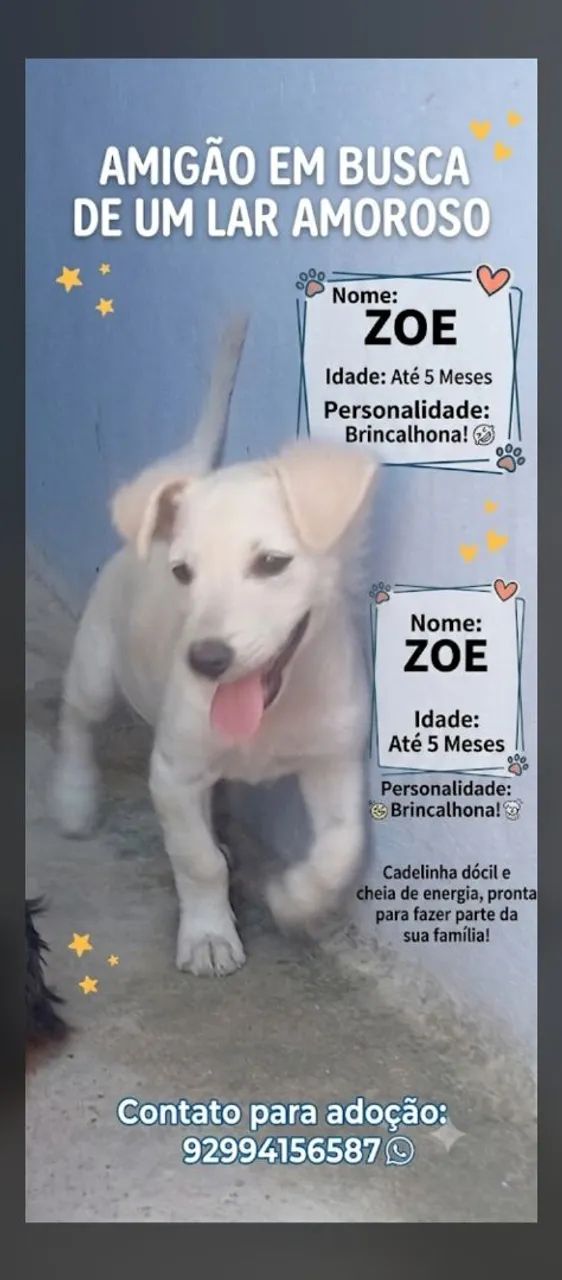 Doação 