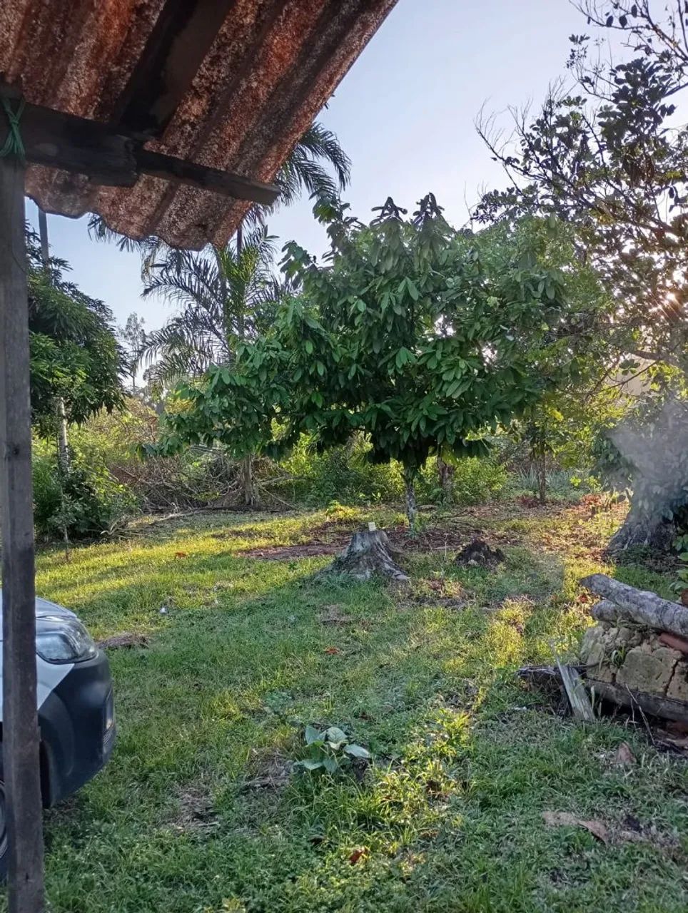 Foto - Manaus - Parque 10 de Novembro