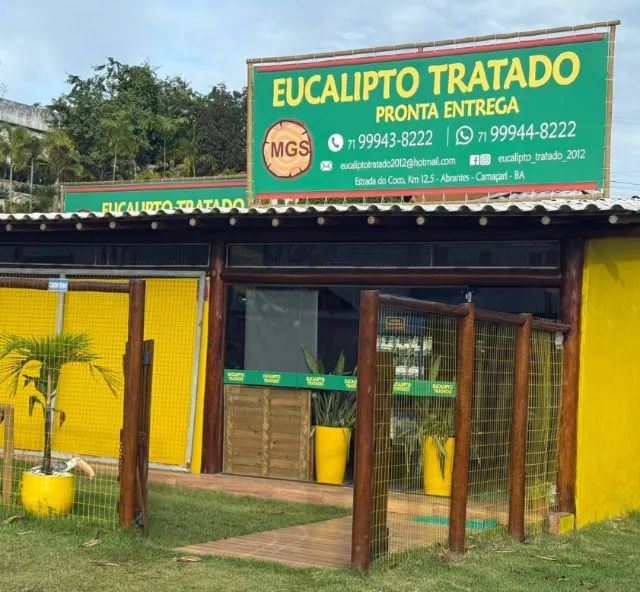 Eucalipto Tratado Direto de Fábrica | Estacas a partir de R$ 14 | Entrega Imediata - Foto 4