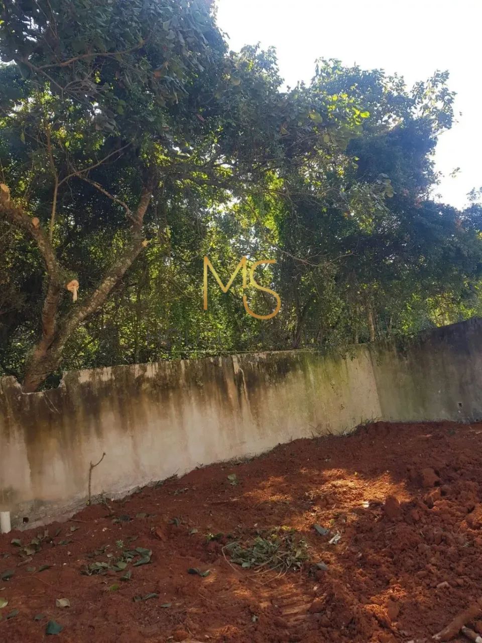 Terreno para venda, Gramado, Cotia - Foto 5
