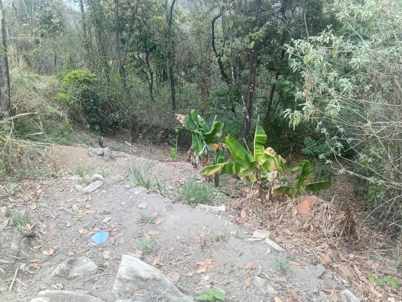 Terreno preço abaixo do mercado - Foto 4