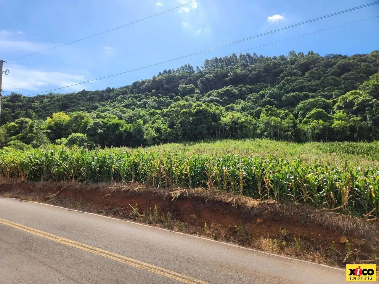 Sítio / Chácara para Venda em Nova Petrópolis, Nove Colonias - Foto 9
