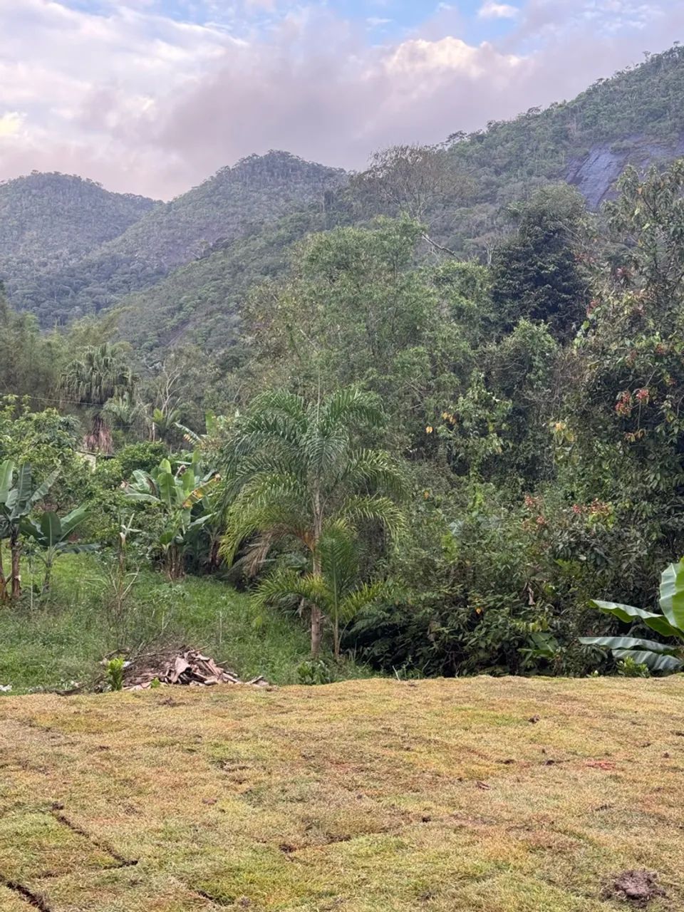 Sítio em Santa Leopoldina ( com corgo ) - Foto 2