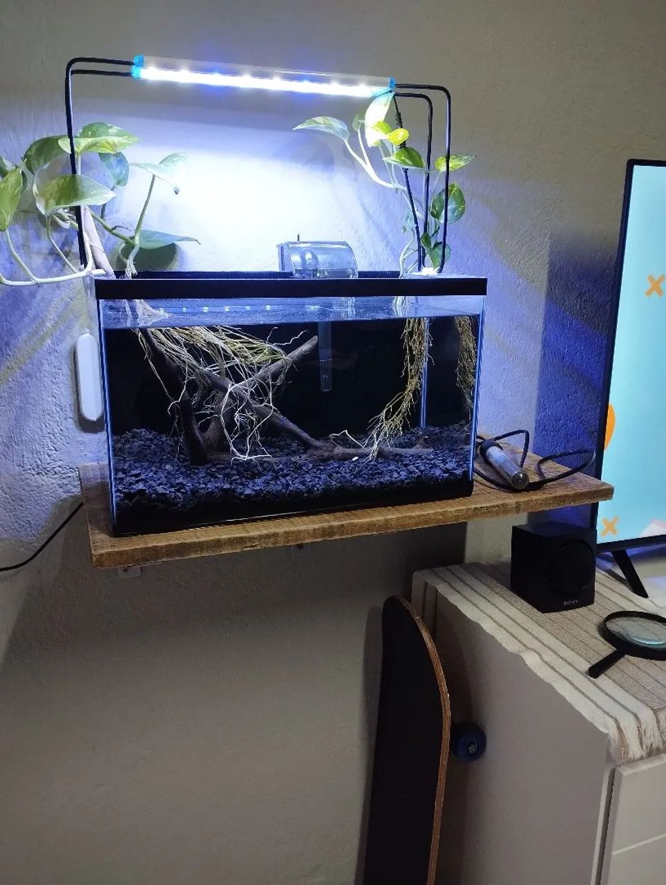 Aquário 20 litros completo  - Foto 6