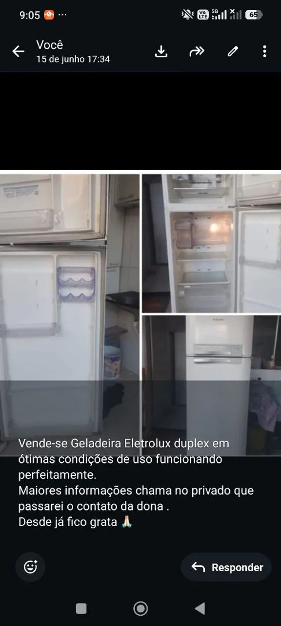 Vende-se Geladeira Eletrolux 