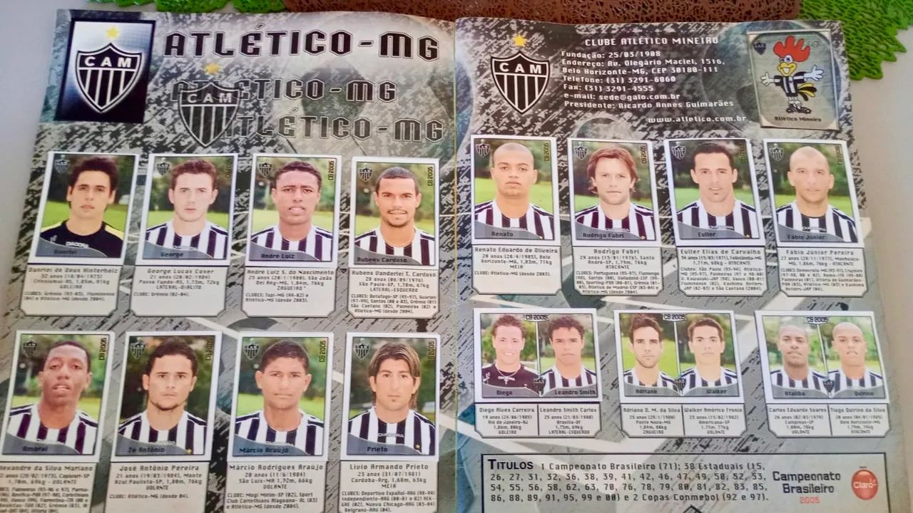 Álbum Brasileirão 2005 Completo - Panini - Foto 2