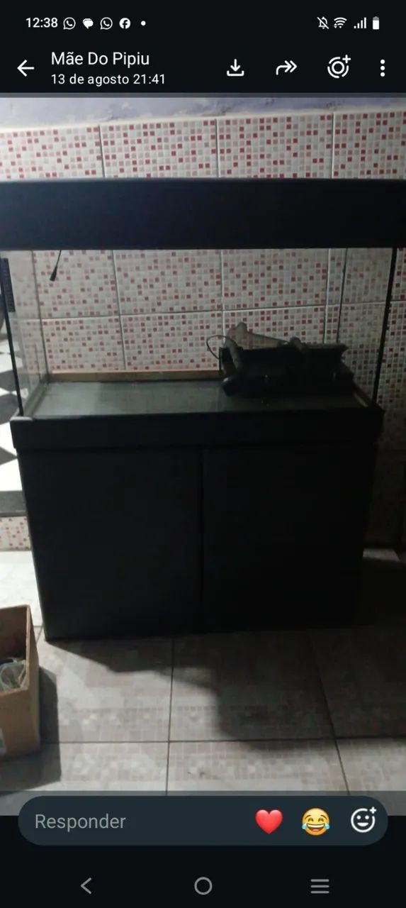 Aquário 