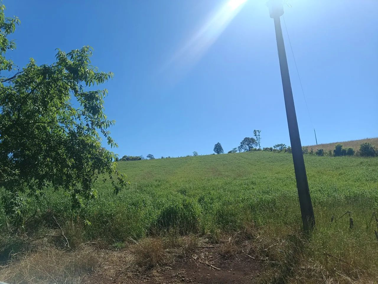 Chácara  - Foto 2