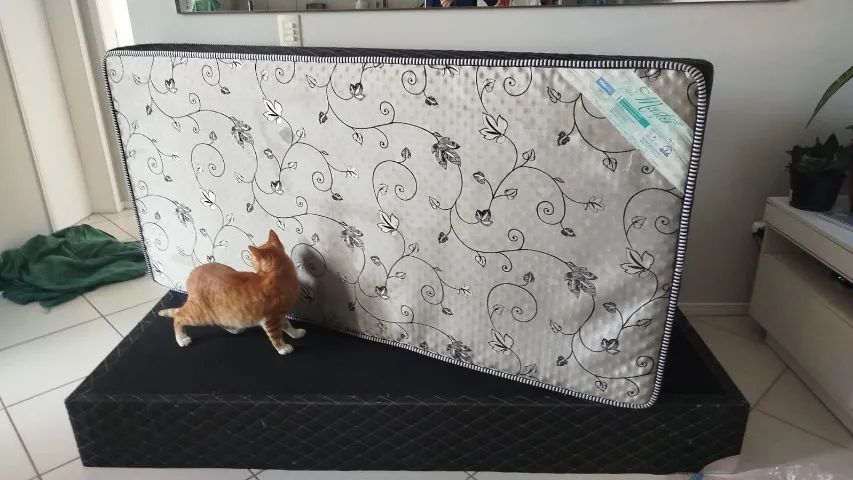 Cama Box de Solteiro- Conjunto Completo