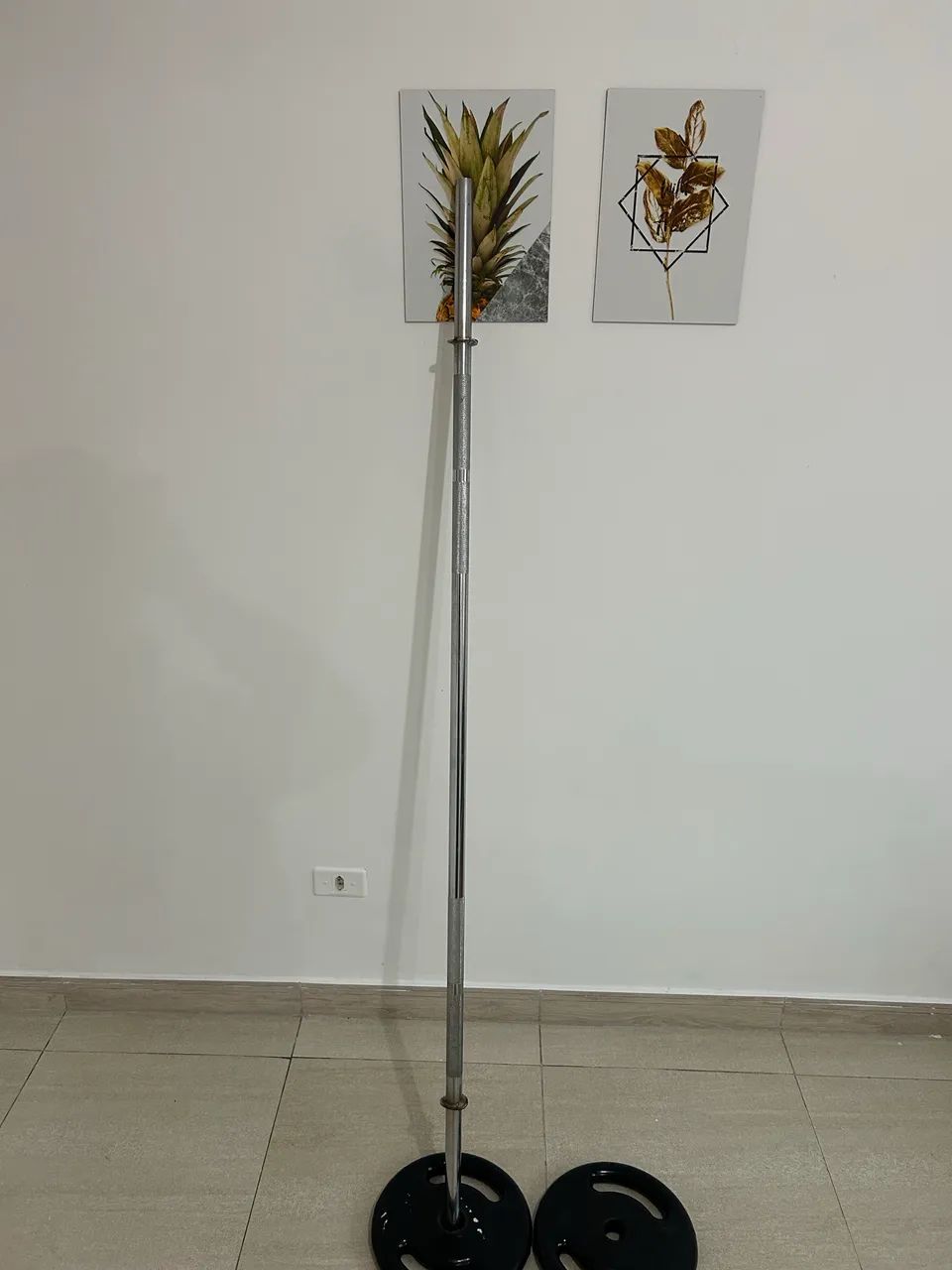 Barra e par de anilhas de 10kg - Foto 2