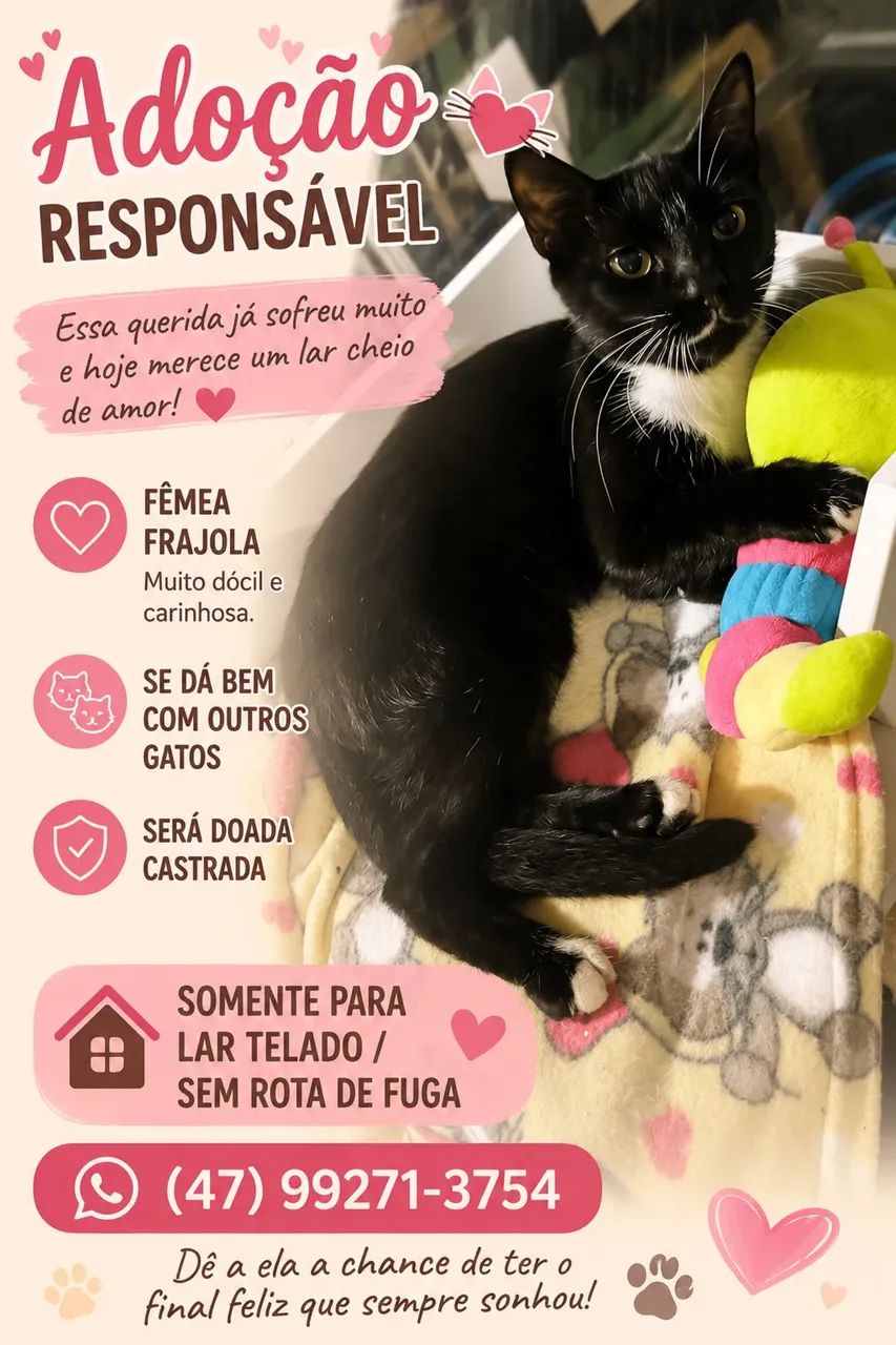 Doação 