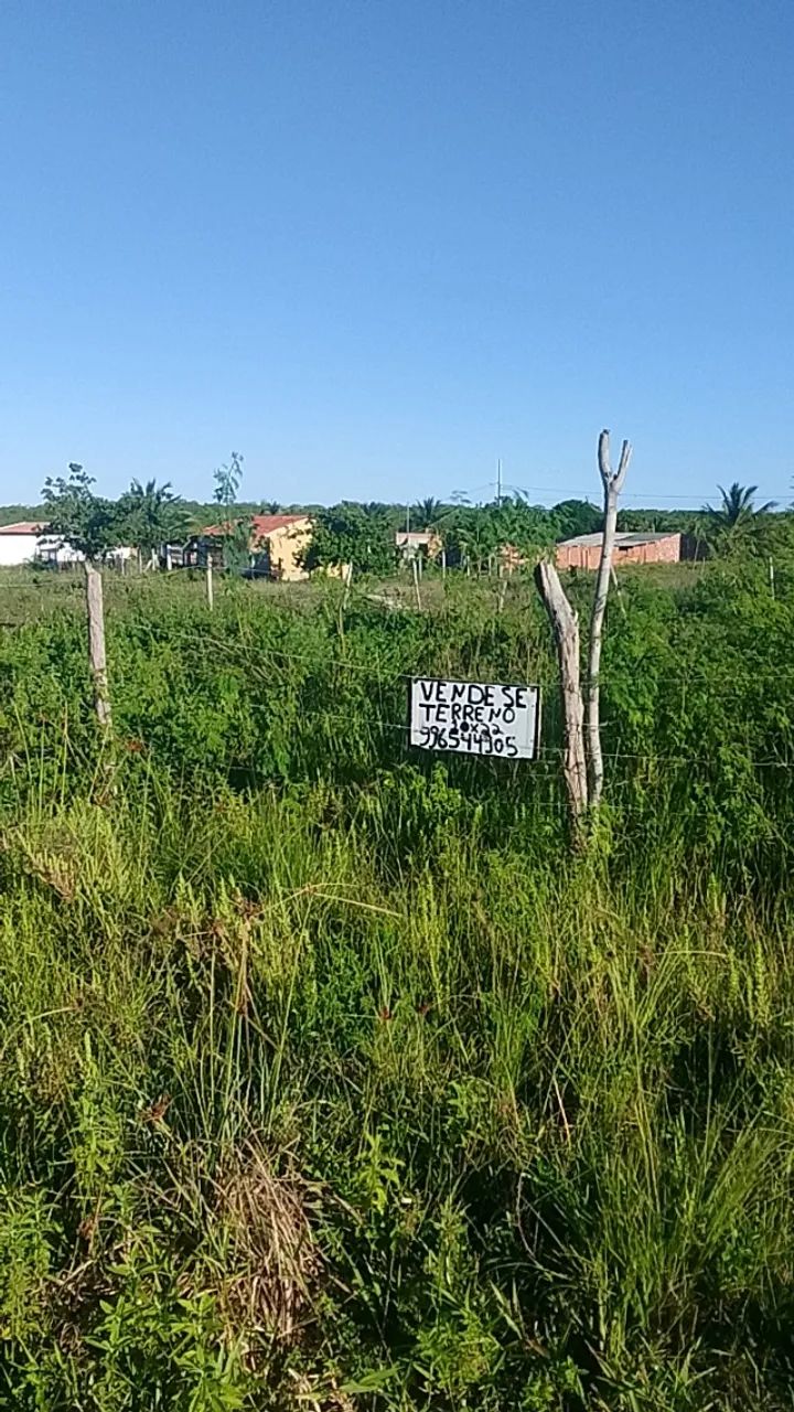 Terreno 10 por 22 - Foto 5