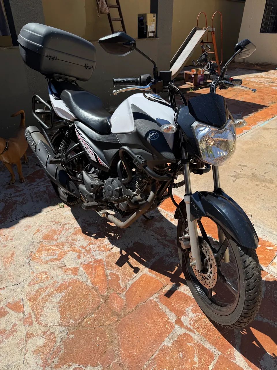 Yamaha Factor 150 - 2023 - Foto 4