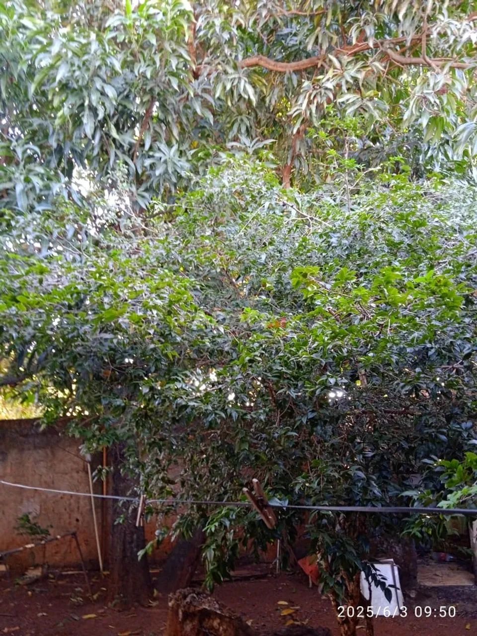 Casa no Parque das Amendoeiras - Foto 5