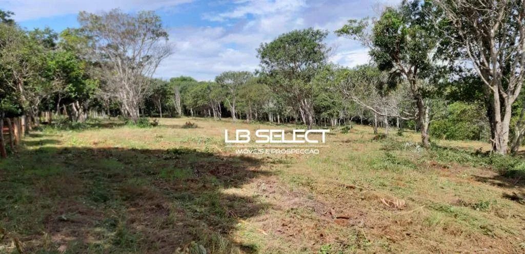 Chácara há 7 km de Uberlândia com 30 mil metros. - Foto 3