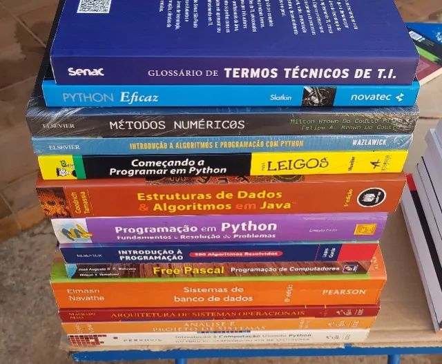 Java Python Algoritmos Métodos Numéricos Computacional Estrutura Dados e Outros 13 Livros - Foto 2