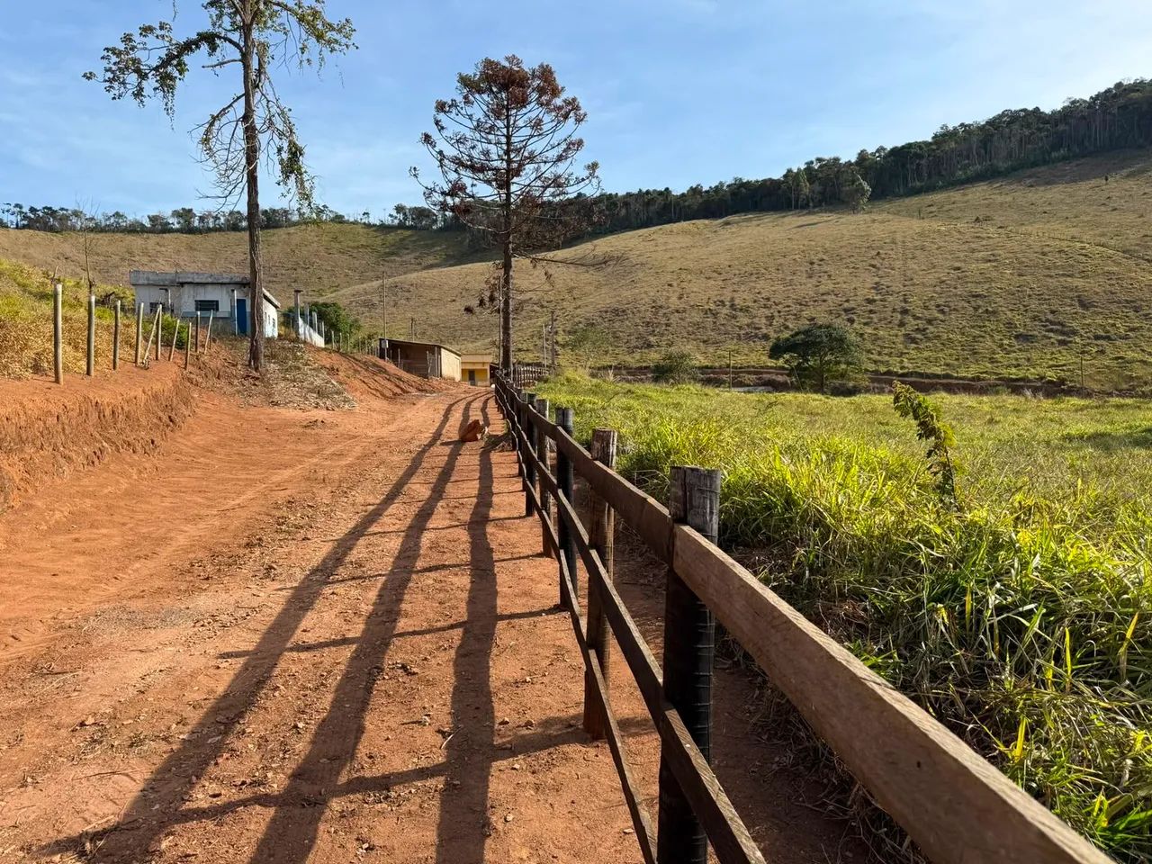 Sítio 14Km de valadares 57km de JF - Foto 5