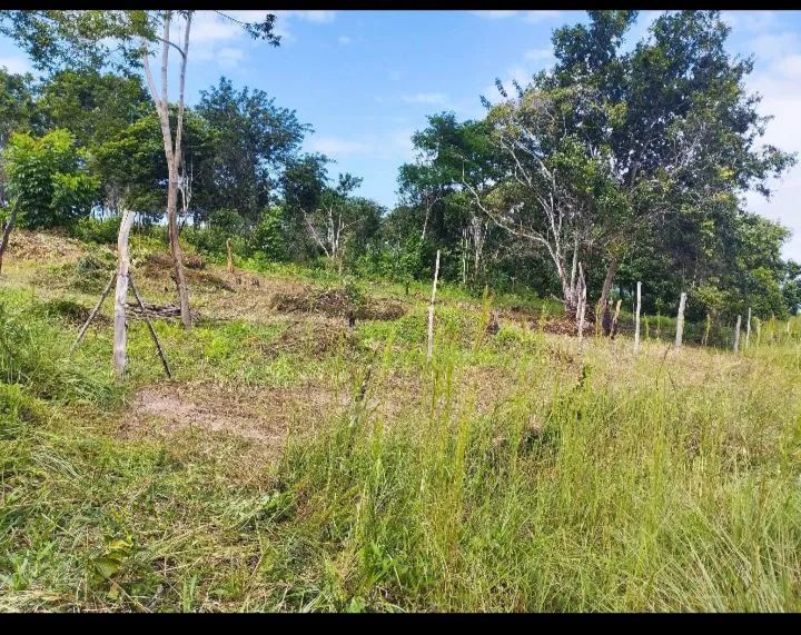 Terreno 