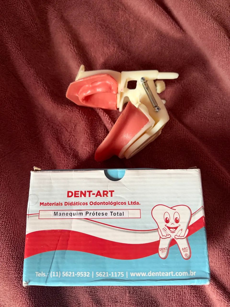 Manequim de prótese total dent art - Foto 2