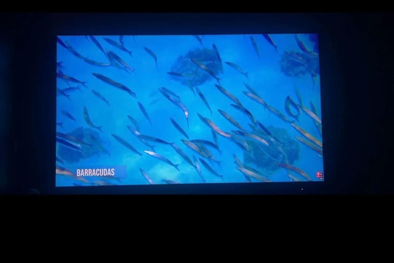 Monitor 144hz - Foto 3