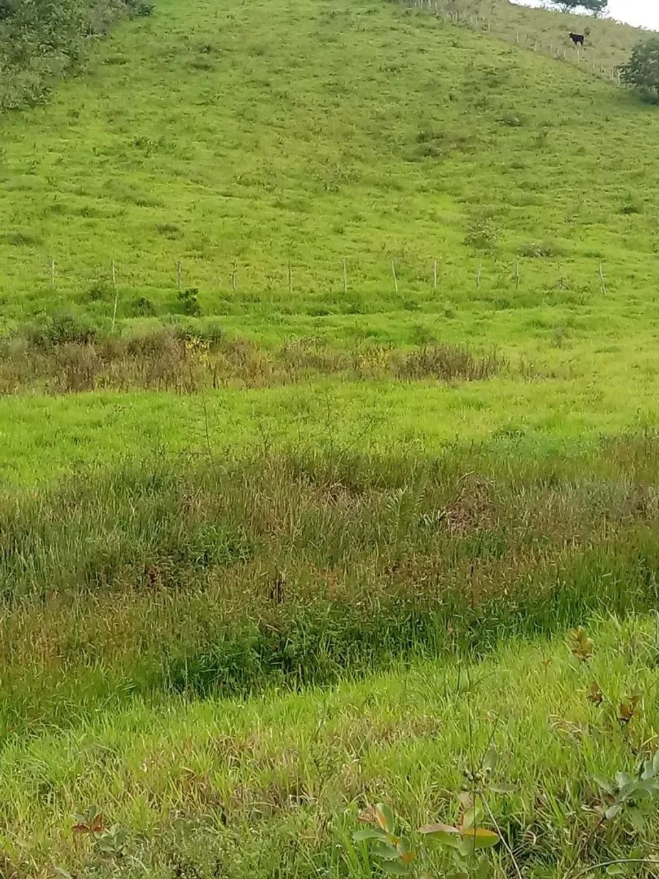 ÁREA PARA VENDA OU TROCA  - Foto 2