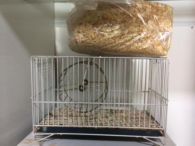 Gaiola pra hamster com serragem
