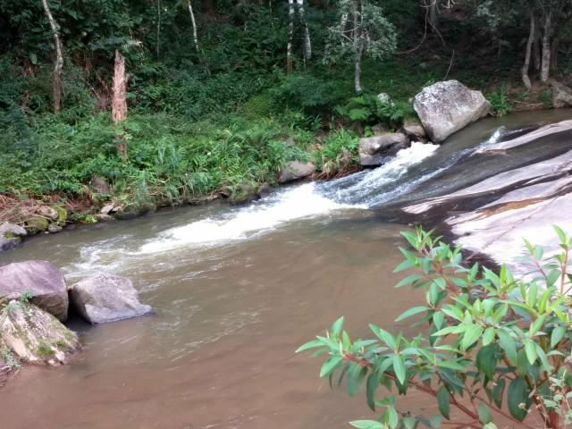 Fazenda Bom Jardim - Foto 3