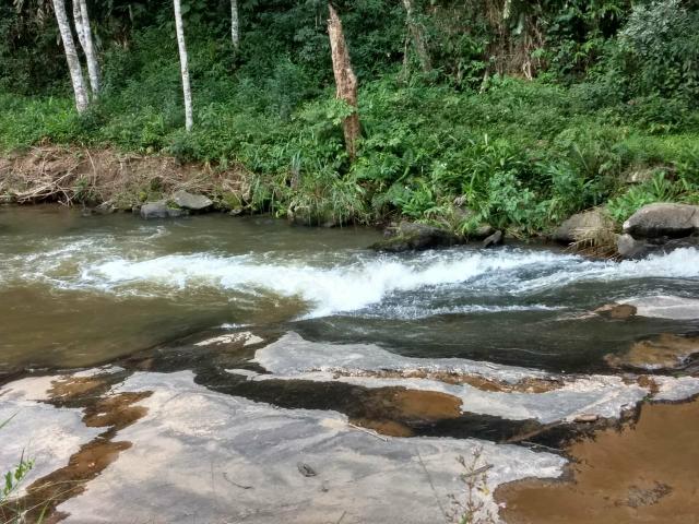 Fazenda Bom Jardim - Foto 13