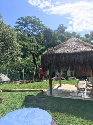 Chácara Urbana formada próximo ao Jardim Japonês - - Foto 9