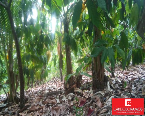 Sítio à venda em Acuipe, Ilhéus cod:FA00008 - Foto 19