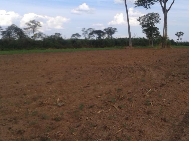11.500 Hectares, Pecuária, 4800 há pastagens, estruturada, Mato Grosso. - Foto 8