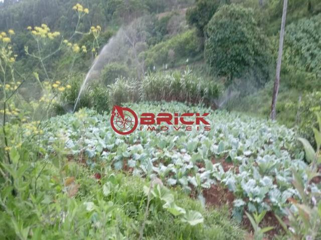 Sítio em teresópolis com cachoeira, nascente, terra para plantação e árvores frutíferas. - Foto 10
