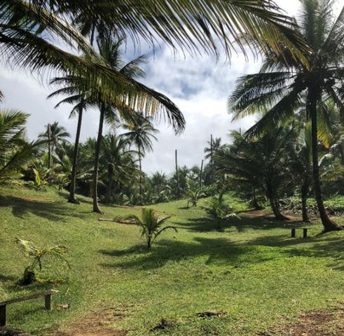 Havaizinho - praia famosa no sul da Bahia - Foto 2
