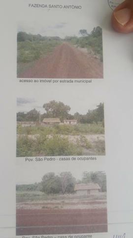 Vendo Área em Fernando Falcão Excelente pra Gado e Agricultura - Foto 3
