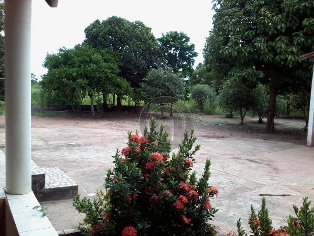 Sitio no cinturão verde - Foto 14