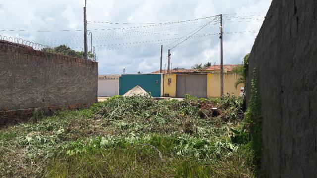 Litoral Norte - Barra de Santo Antônio - Ilha da Croa - Em Rua Pavimentada - Foto 10