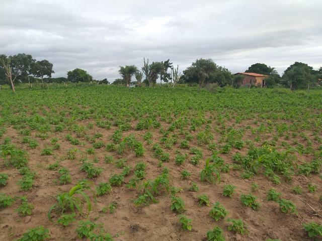 Terreno - Foto 4