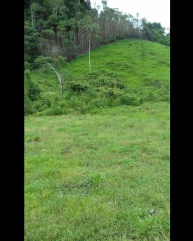 Vende-se fazenda e sítio PARCELADOS - Foto 2