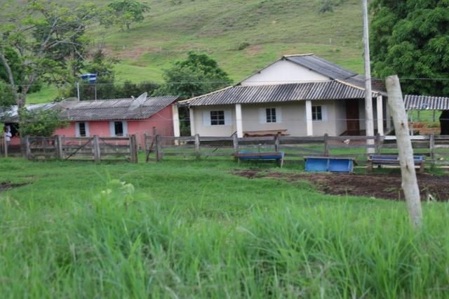 Fazenda Montada 25 Alqueires Cocalzinho"Toda Formada,72 km de Anapolis,129 km Goiania - Foto 9