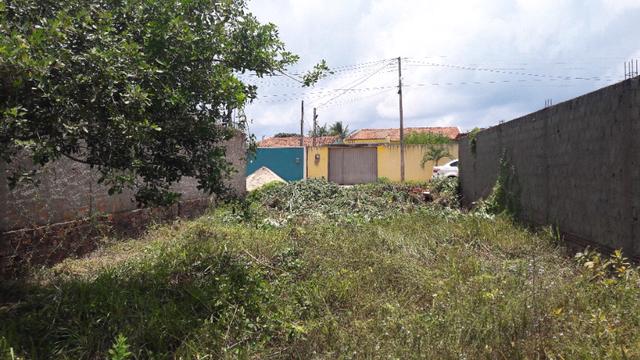 Litoral Norte - Barra de Santo Antônio - Ilha da Croa - Em Rua Pavimentada - Foto 7