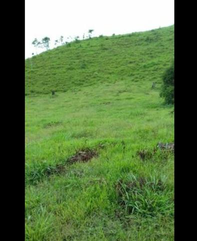 Vende-se fazenda e sítio PARCELADOS - Foto 5