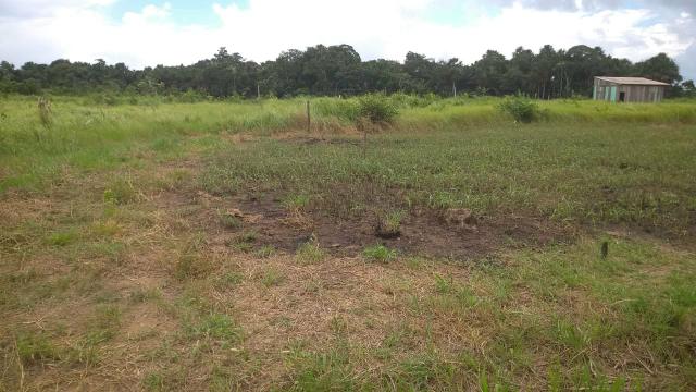 Terreno bom jesus - Foto 3