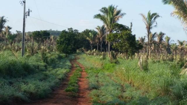 Vendo Fazenda de 1702 hectares no Leste do Maranhão - Foto 12